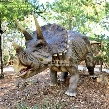90% obnovený Triceratops
