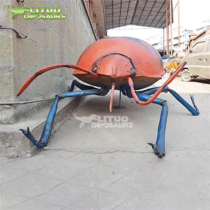 2Scutelleridae(001)